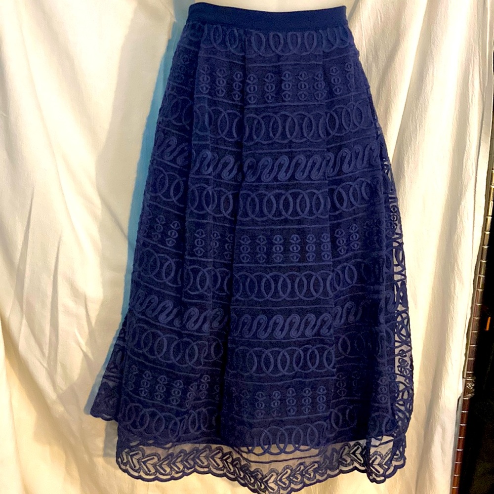 Champagne and strawberry navy Embroidered skirt